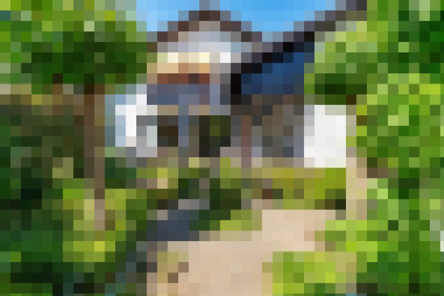 Greekerinckskamp 8 Delden thumbnail 5