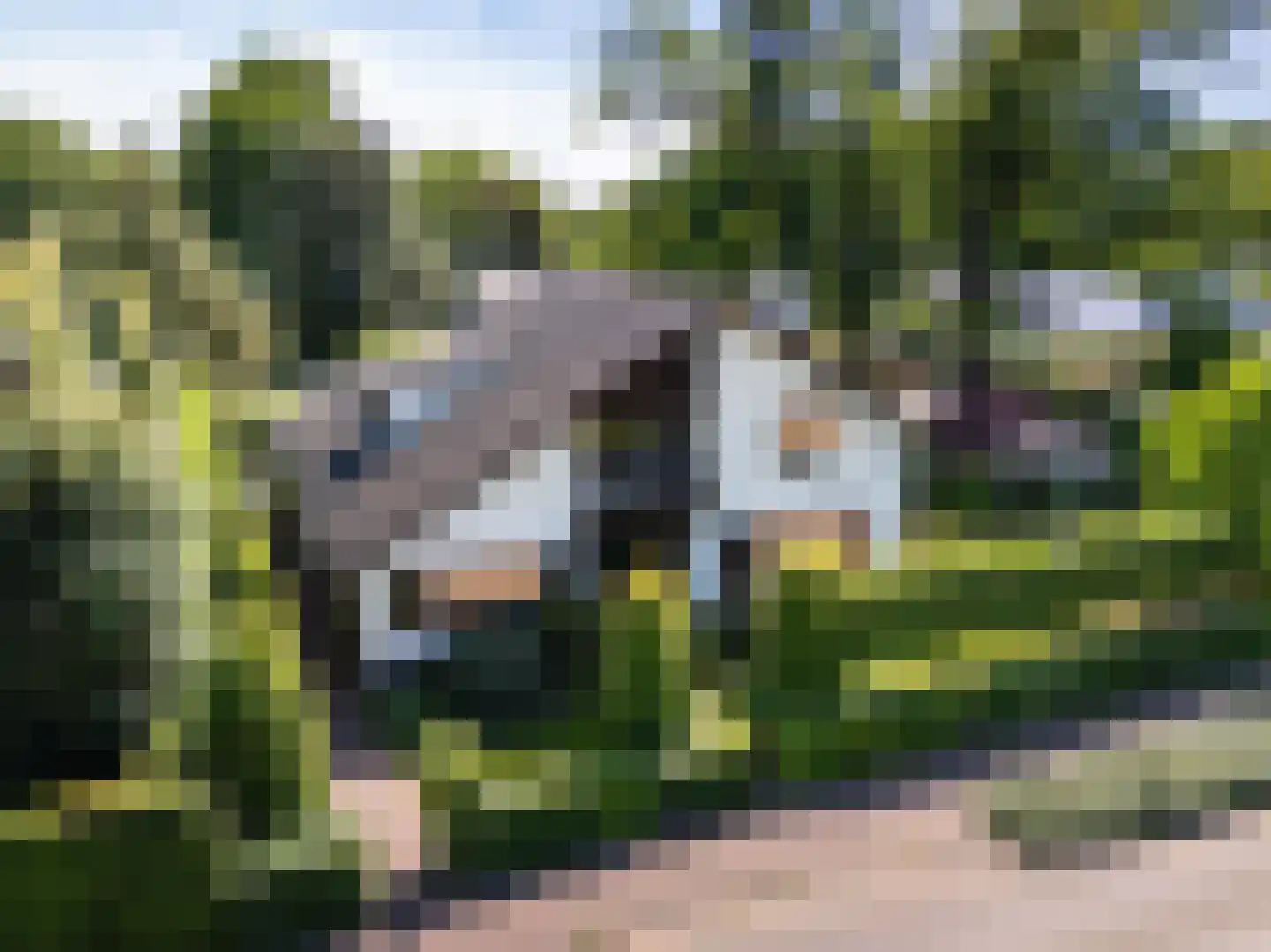 Greekerinckskamp 8 Delden thumbnail 53