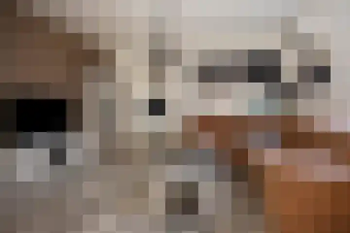 Greenterweg 4 Kampen thumbnail 11