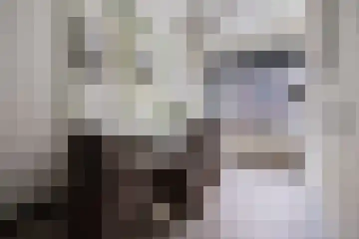 Greenterweg 4 Kampen thumbnail 9