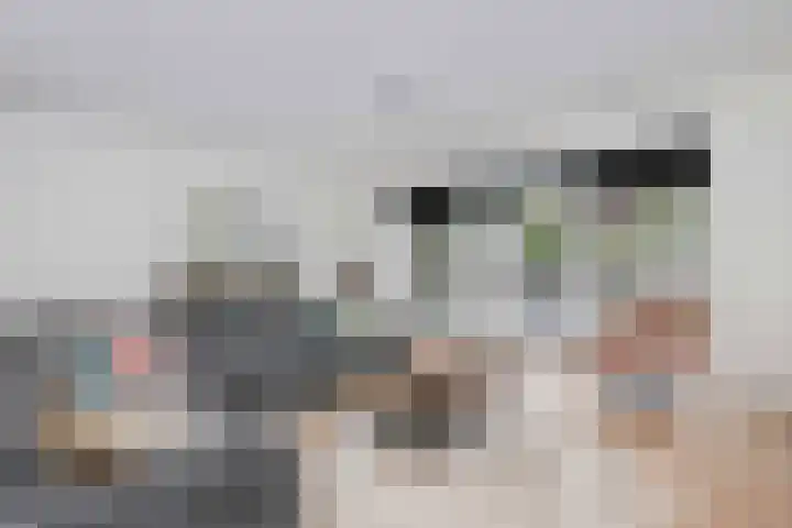 Greep 6 Hooglanderveen thumbnail 12