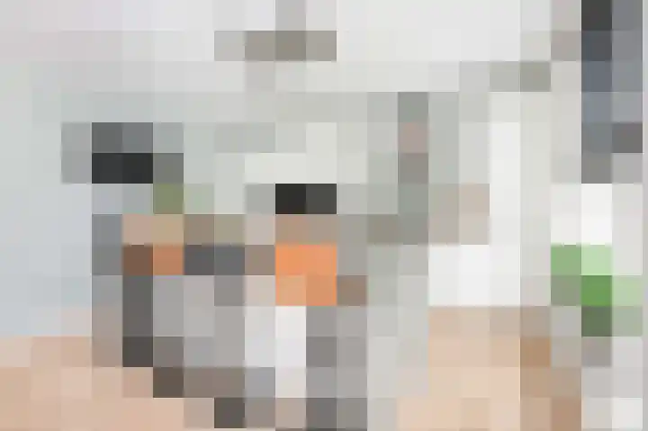 Greep 6 Hooglanderveen thumbnail 14