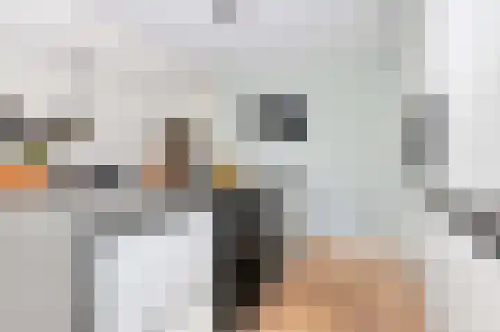 Greep 6 Hooglanderveen thumbnail 16