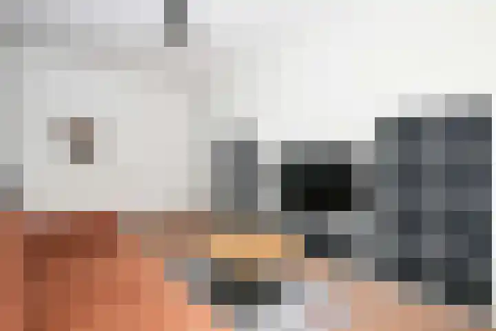 Greep 6 Hooglanderveen thumbnail 23