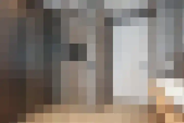 Greep 6 Hooglanderveen thumbnail 27