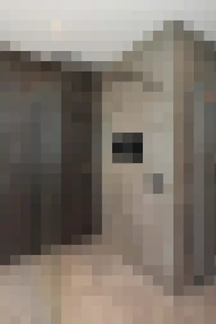 Greep 6 Hooglanderveen thumbnail 30