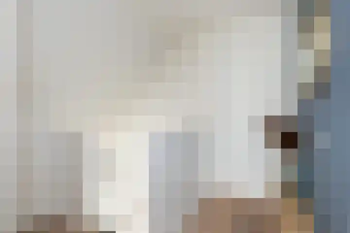 Greep 6 Hooglanderveen thumbnail 32
