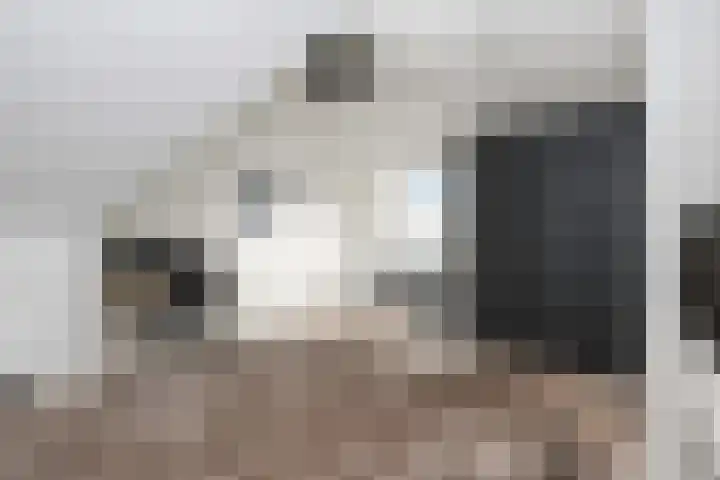 Greep 6 Hooglanderveen thumbnail 36