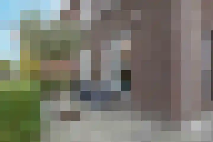 Greep 6 Hooglanderveen thumbnail 44