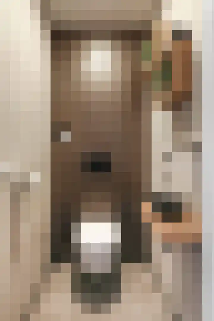 Greep 6 Hooglanderveen thumbnail 9