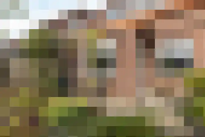 Grefkenstraat 20 Brunssum thumbnail 28