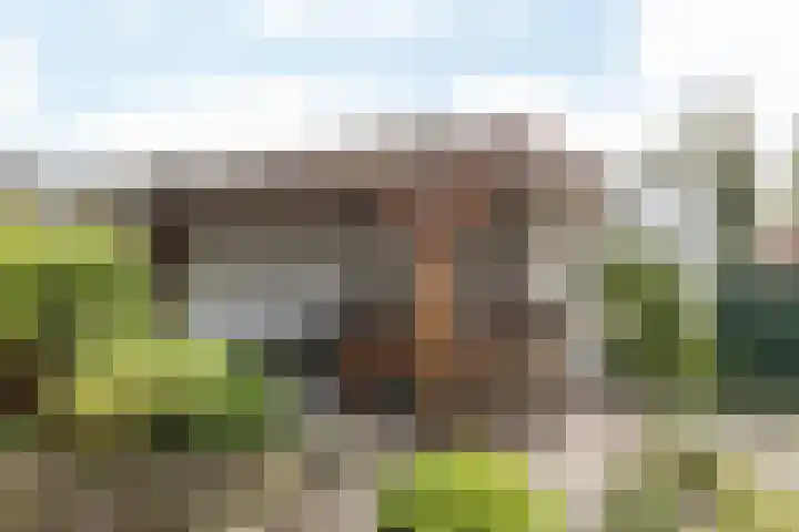 Grefkenstraat 20 Brunssum thumbnail 32