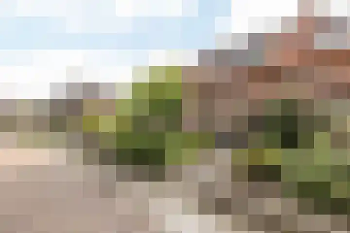 Grefkenstraat 20 Brunssum thumbnail 34