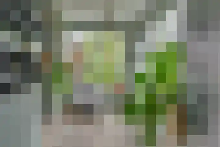 Gregoriuslaan 13 G Lexmond thumbnail 12