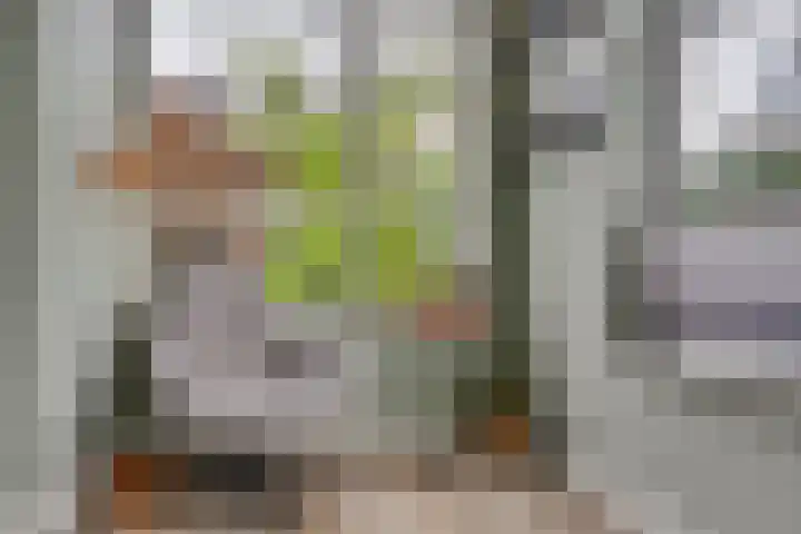 Gregoriuslaan 13 G Lexmond thumbnail 13