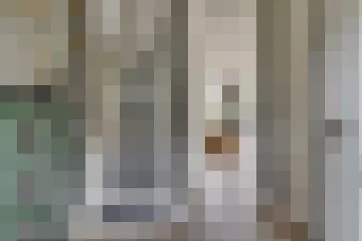 Gregoriuslaan 13 G Lexmond thumbnail 20