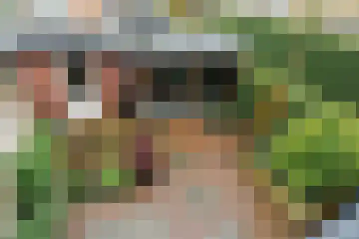 Gregoriuslaan 13 G Lexmond thumbnail 34