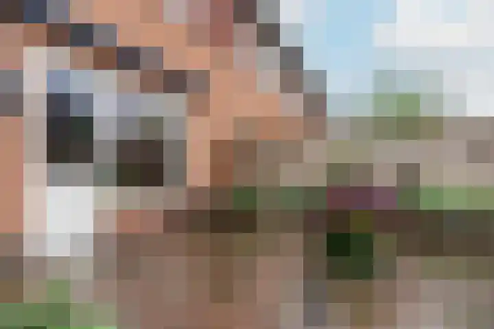 Gregoriuslaan 13 G Lexmond thumbnail 37