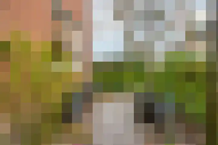 Gregoriuslaan 13 G Lexmond thumbnail 38