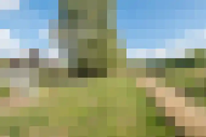 Gregoriuslaan 49 Susteren thumbnail 31