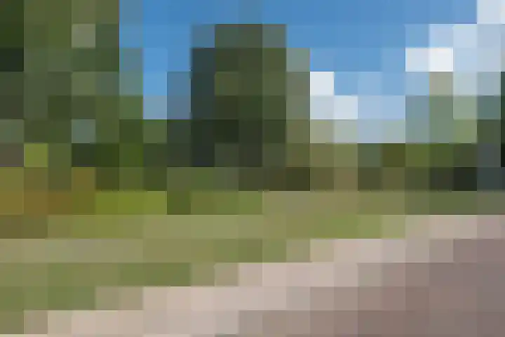 Gregoriuslaan 49 Susteren thumbnail 32