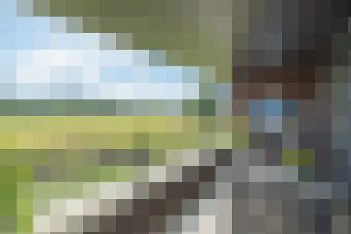 Gregoriuslaan 49 Susteren thumbnail 4