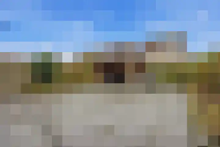 Grensoord 9 Breda thumbnail 16