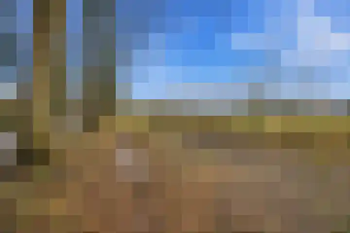 Grensoord 9 Breda thumbnail 40