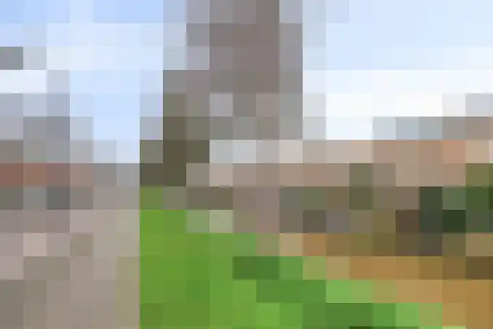 Grenspolder 23 Amersfoort thumbnail 25