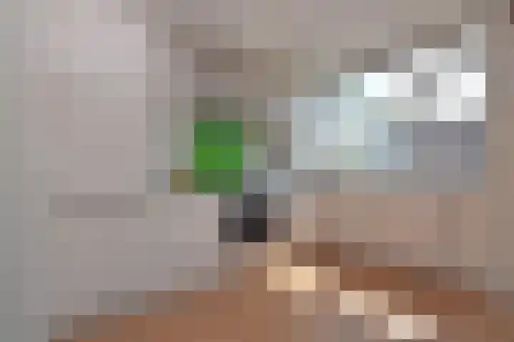 Gresnigtstraat 9 Utrecht thumbnail 7