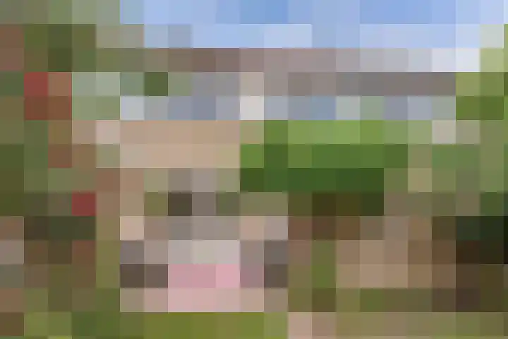 Grettingalaan 74 Harlingen thumbnail 30