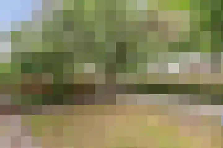 Grettingalaan 74 Harlingen thumbnail 5