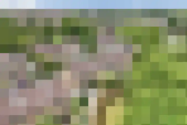 Grettingalaan 74 Harlingen thumbnail 7