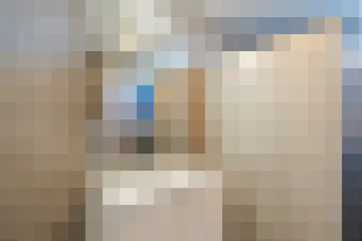 Grevelingen 116 Alkmaar thumbnail 31
