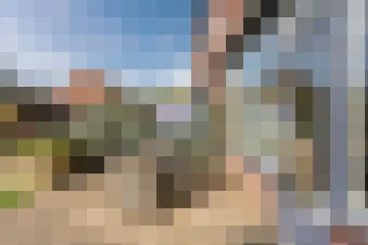 Grevelingen 116 Alkmaar thumbnail 44