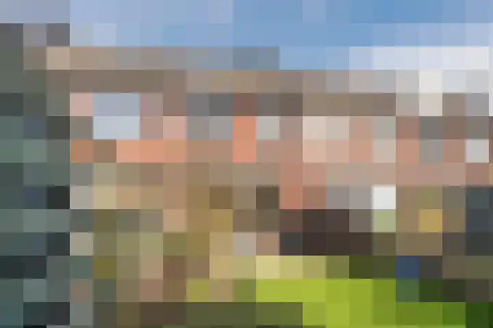 Grevelingen 116 Alkmaar thumbnail 48