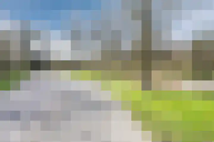 Grevelingen 116 Alkmaar thumbnail 52