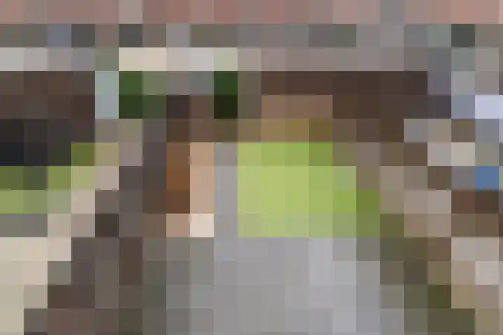 Grevelingen 12 Arnhem thumbnail 42