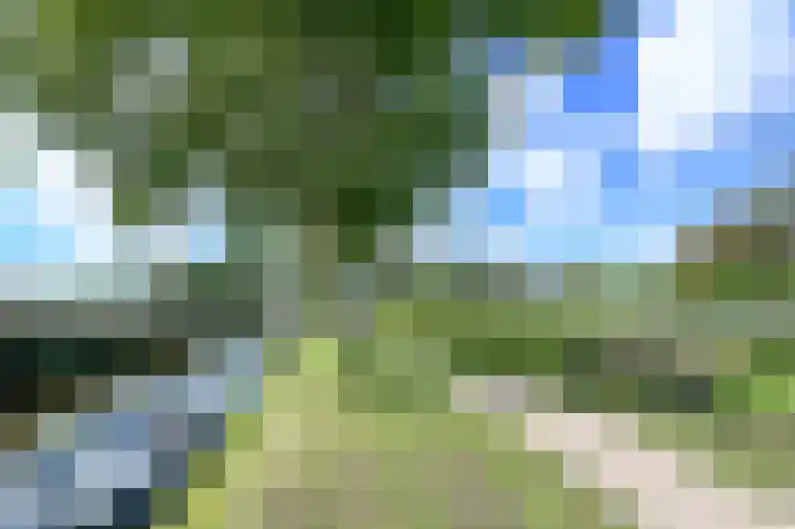 Grevelingen 17 Heemstede thumbnail 36