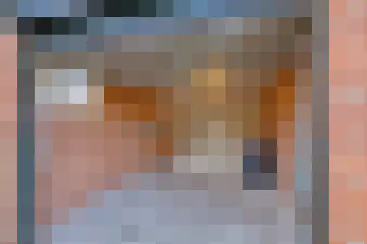 Grevelingen 2 Apeldoorn thumbnail 21