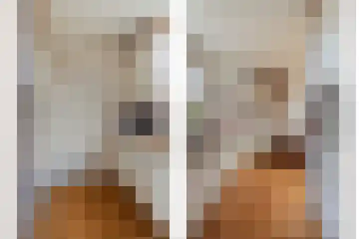 Grevelingen 27 Pijnacker thumbnail 4