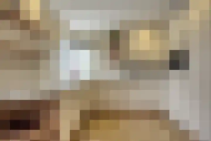 Grevelingen 36 Pijnacker thumbnail 11