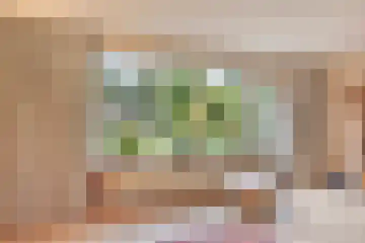 Grevelingen 36 Pijnacker thumbnail 14