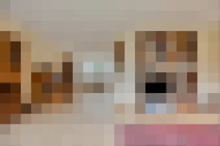 Grevelingen 36 Pijnacker thumbnail 15