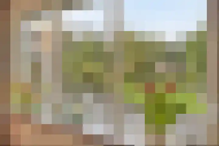 Grevelingen 36 Pijnacker thumbnail 16