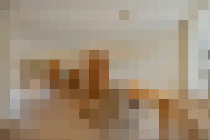 Grevelingen 36 Pijnacker thumbnail 18