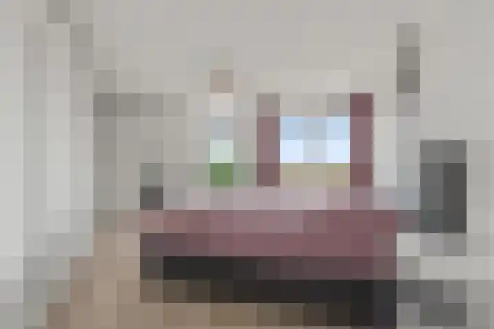 Grevelingen 36 Pijnacker foto 3