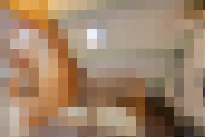 Grevelingen 36 Pijnacker thumbnail 30