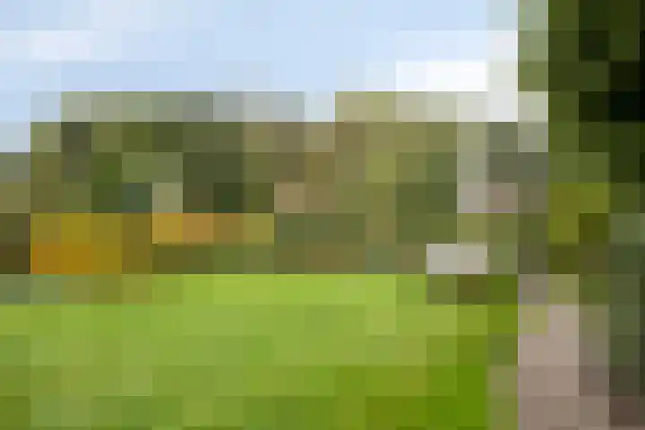 Grevelingen 36 Pijnacker thumbnail 33