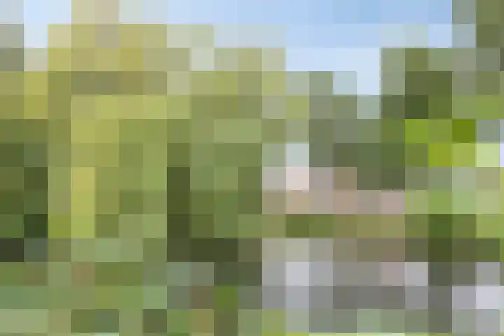Grevelingen 36 Pijnacker thumbnail 34